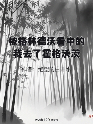 被格林德沃看中的我去了霍格沃茨