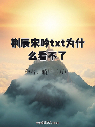 荆辰宋吟txt为什么看不了