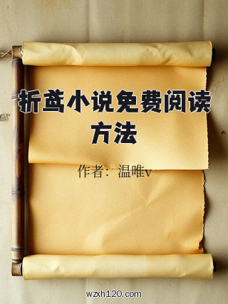 折鸢小说免费阅读方法