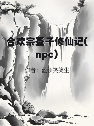 合欢宗圣子修仙记(npc)