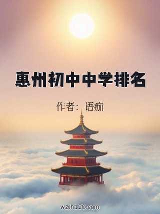 惠州初中中学排名