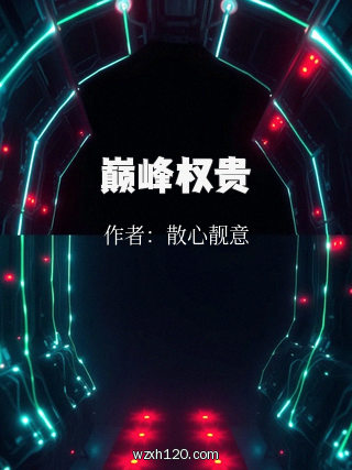 巅峰权贵
