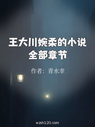 王大川婉柔的小说全部章节