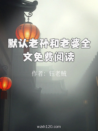 默认老孙和老婆全文免费阅读