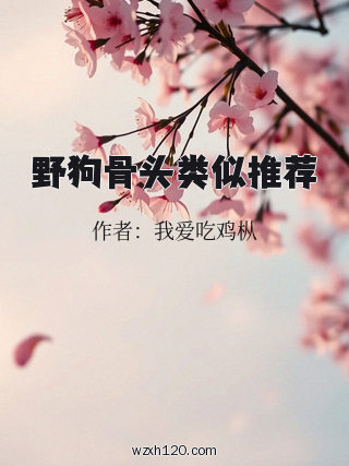 野狗骨头类似推荐