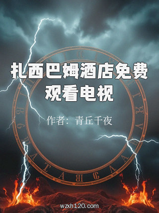 扎西巴姆酒店免费观看电视