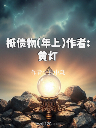 抵债物(年上)作者:黄灯