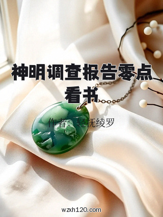 神明调查报告零点看书
