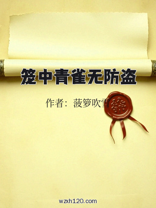笼中青雀无防盗