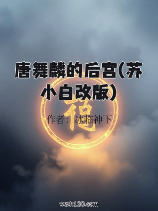 唐舞麟的后宫(苏小白改版)