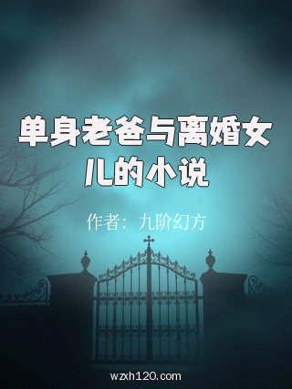 单身老爸与离婚女儿的小说
