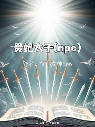 贵妃太子(npc)