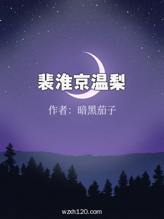 裴淮京温梨
