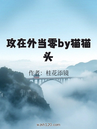 攻在外当零by猫猫头