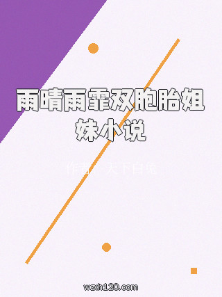 雨晴雨霏双胞胎姐妹小说