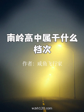 南岭高中属于什么档次
