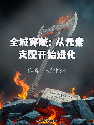 全城穿越:从元素支配开始进化