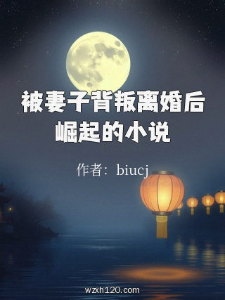 被妻子背叛离婚后崛起的小说