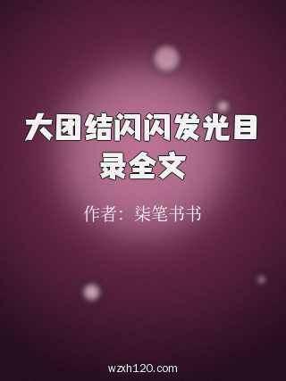 大团结闪闪发光目录全文