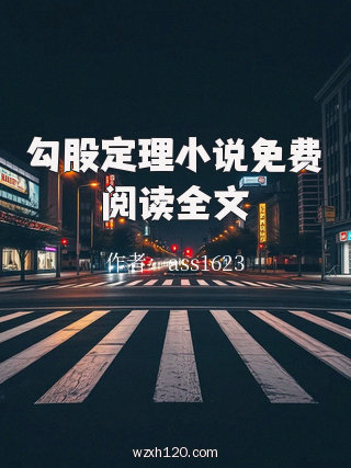 勾股定理小说免费阅读全文