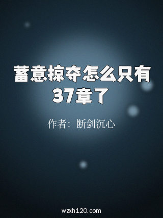 蓄意掠夺怎么只有37章了
