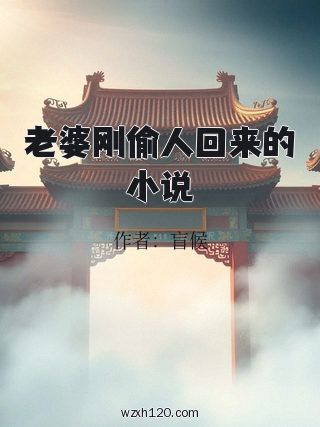 老婆刚偷人回来的小说