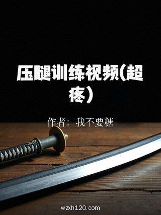 压腿训练视频(超疼)