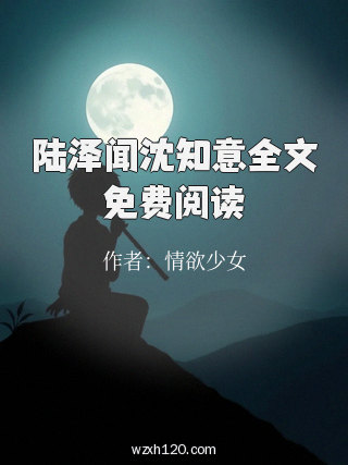 陆泽闻沈知意全文免费阅读