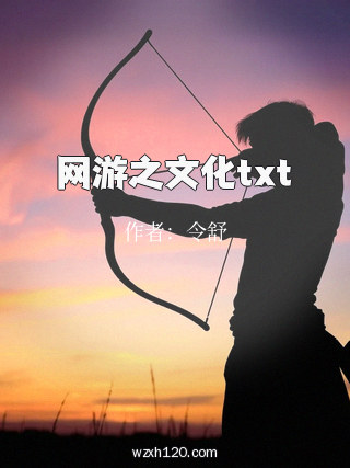 网游之文化txt