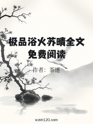 极品浴火苏晴全文免费阅读
