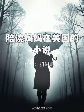 陪读妈妈在美国的小说