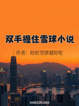 双手握住雪球小说