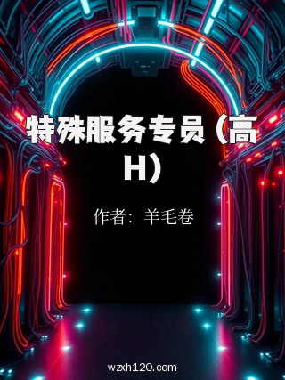 特殊服务专员 (高H)