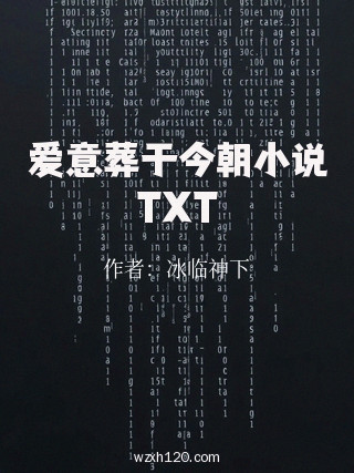 爱意葬于今朝小说TXT