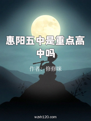 惠阳五中是重点高中吗
