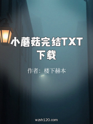 小蘑菇完结TXT下载