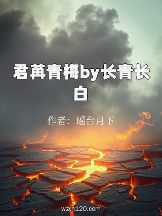 君苒青梅by长青长白