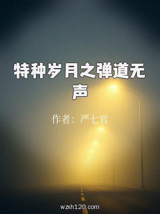 特种岁月之弹道无声