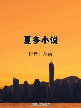 夏多小说