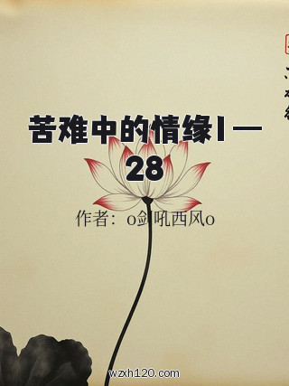 苦难中的情缘1—28