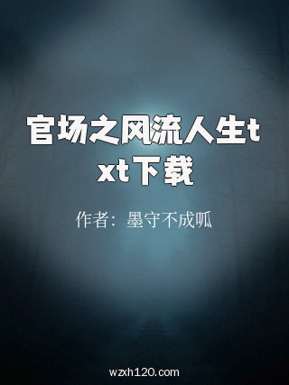官场之风流人生txt下载