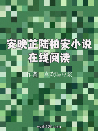 安晚芷陆柏安小说在线阅读