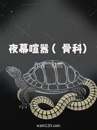 夜幕喧嚣（偽骨科）
