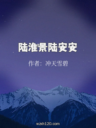 陆淮景陆安安