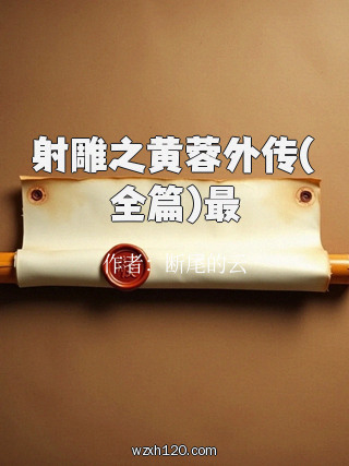 射雕之黄蓉外传(全篇)最