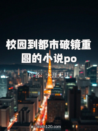 校园到都市破镜重圆的小说po