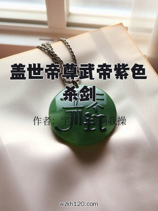 盖世帝尊武帝紫色杀剑
