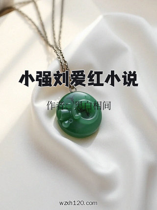 小强刘爱红小说