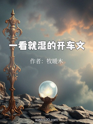 一看就湿的开车文