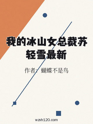 我的冰山女总裁苏轻雪最新